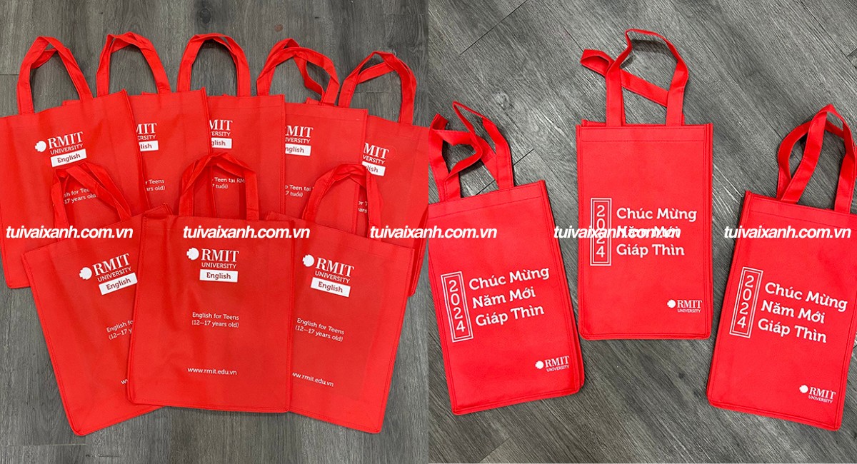 Túi vải không dệt đựng đồ