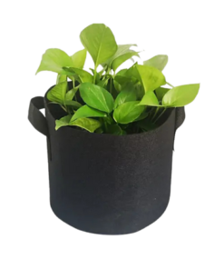 Túi vải không dệt trồng cây