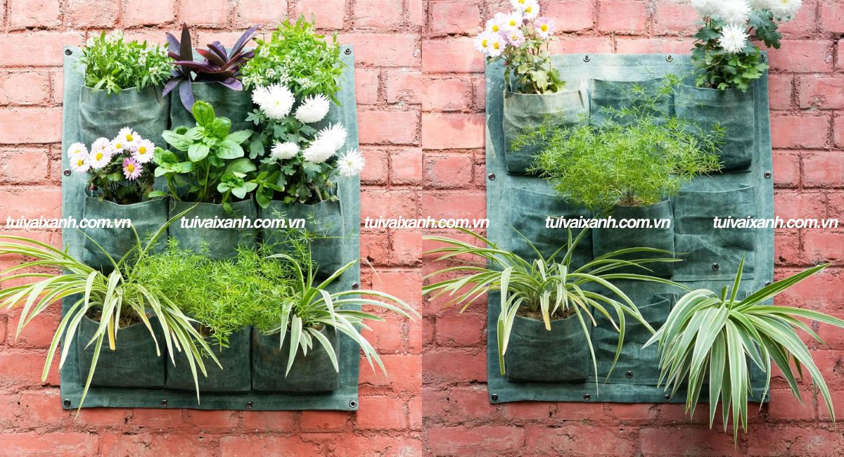 Túi vải trồng cây treo tường