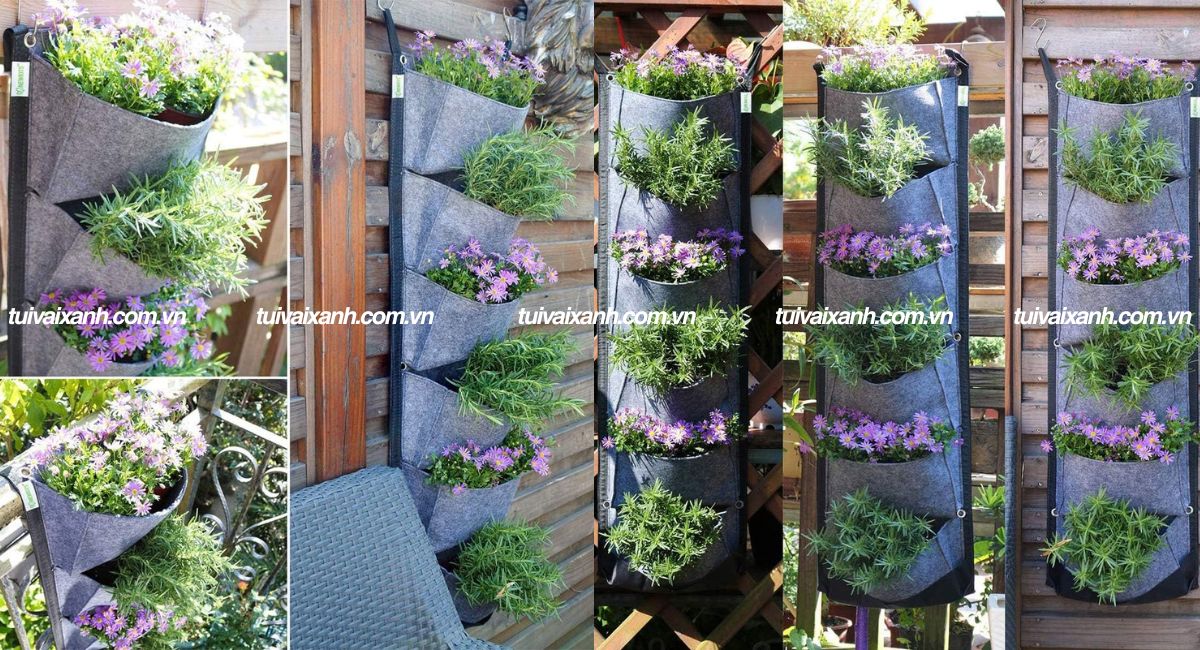 Túi vải trồng cây treo tường