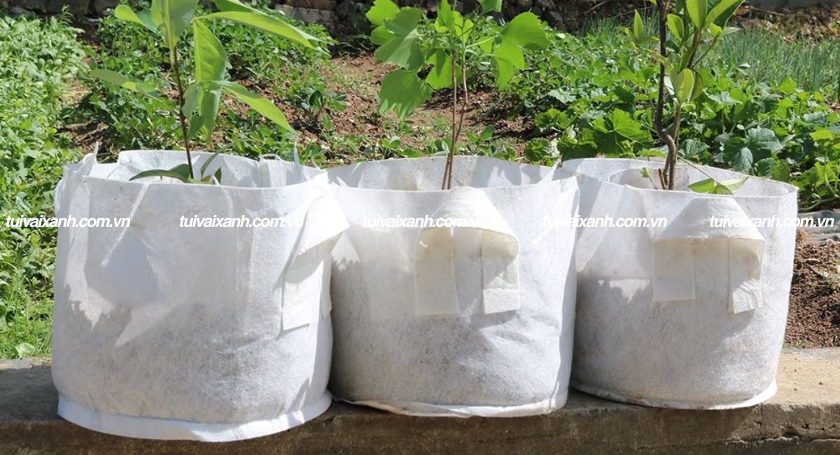 Túi vải trồng cây quai xách tiện lợi.