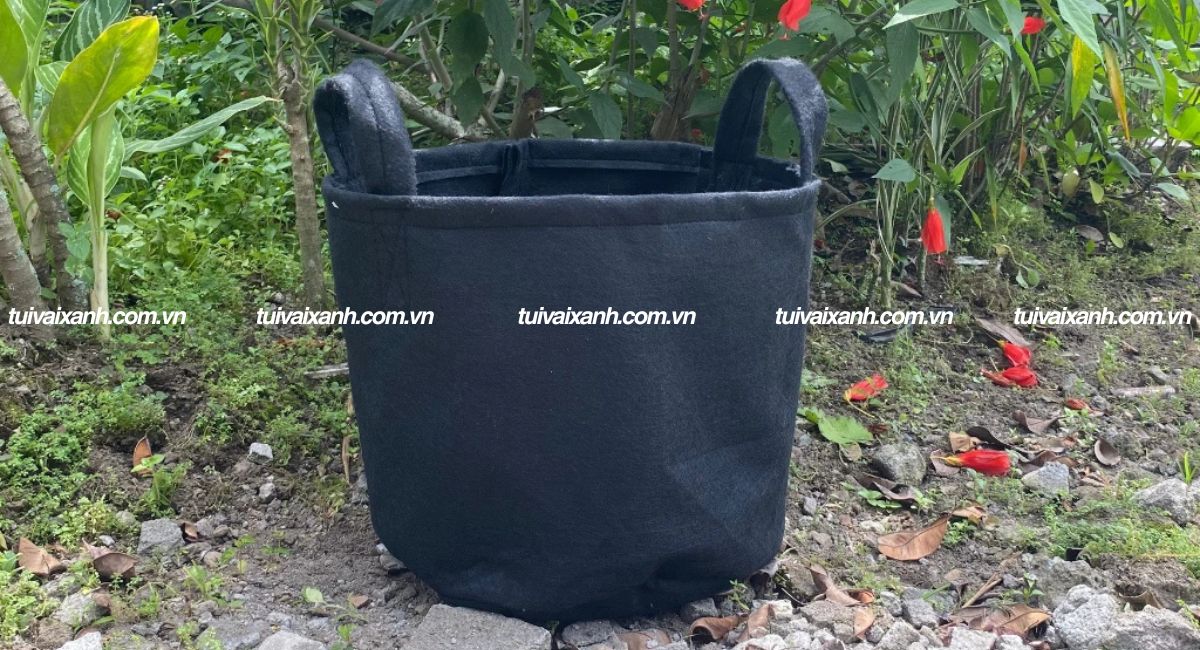Túi vải trồng cây