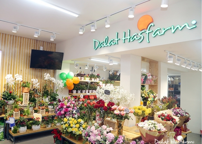 tui vai xanh hop tac voi dalat hasfarm