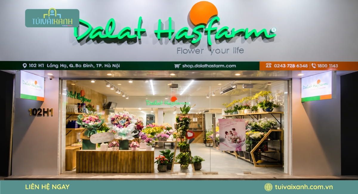 Túi Vải Xanh x Dalat Hasfarm: Dự Án Túi Vải Quà Tặng Tết Cao Cấp
